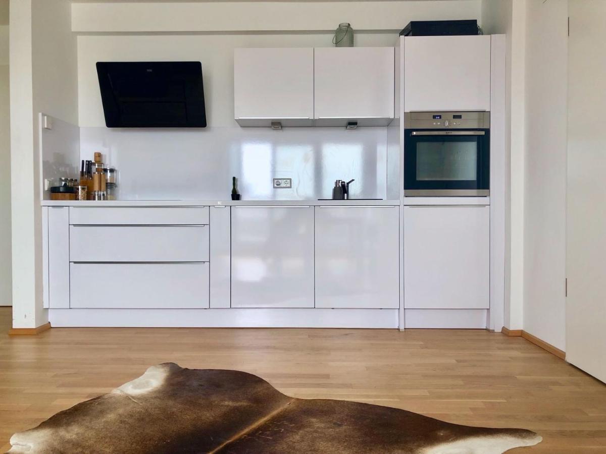 Exclusive Penthouse With Rooftop In The Apartment